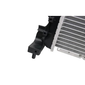 Kühler, Motorkühlung FT55034 von FAST günstig für 151,06 € online kaufen