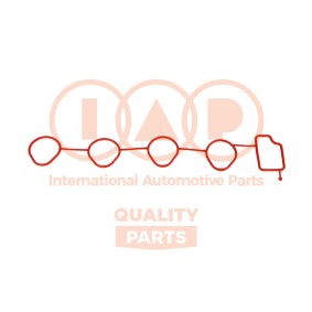 Ansaugkrümmerdichtung des Herstellers IAP QUALITY PARTS - Originalware Artikelnummer: 117-20080