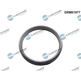 Dichtring, Ladeluftschlauch DRM01977 von DR.MOTOR AUTOMOTIVE günstig für 16,29 € online kaufen