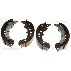 Bremsbackensatz 8100 29006 von TRISCAN günstig für 51,80 € online kaufen