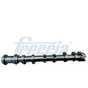 Compre Árvore de cames de FRECCIA online para 408 SUV (P54) a preços moderados