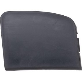 Klappe, Abschlepphaken 6642064 von DIEDERICHS günstig für 18,94 € online kaufen