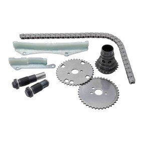 Steuerkettensatz des Herstellers BorgWarner - Originalware Artikelnummer: 59007150005