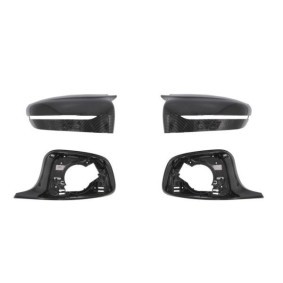 Gehäuse, Außenspiegel 6103-01-0068100KP von BLIC günstig für 270,47 € online kaufen