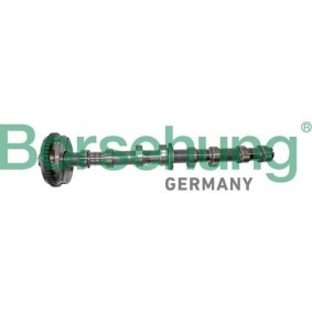 Nockenwelle von Borsehung