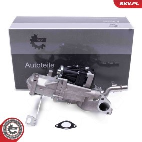 Comprar Válvula EGR de ESEN SKV 14SKV250 a bajo precio de 457,69 €