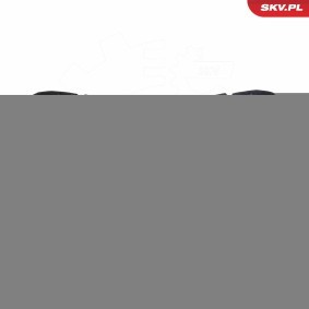 Motorraumdämmung 97SKV899 von ESEN SKV günstig für 79,89 € online kaufen