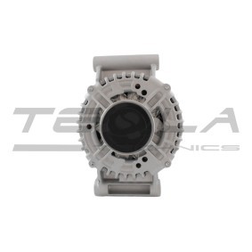 Kjøp Dynamo av TESLA TECHNICS TT12385 PRO til den lave prisen 3811,68 NOK
