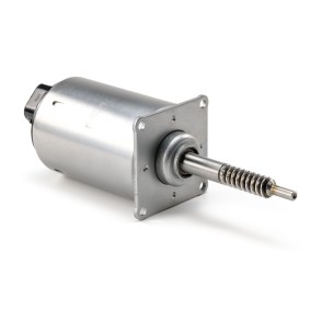 Stellelement, Exzenterwelle (variabler Ventilhub) P150131 von PREXAparts günstig für 152,53 € online kaufen