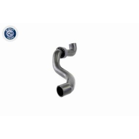 Umlenkrolle, Zahnriemen V46-0301 von VAICO günstig für 39,68 € online kaufen