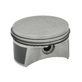 Compre Êmbolo da ENGITECH ENT051111 STD a um preço baixo por 53,33 €