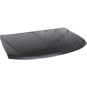 Acquista Cofano da DIEDERICHS 3570000 a buon mercato per soli 338,51 €