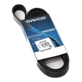 Keilrippenriemen von DAYCO