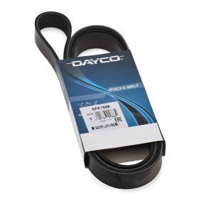 Keilrippenriemen von DAYCO