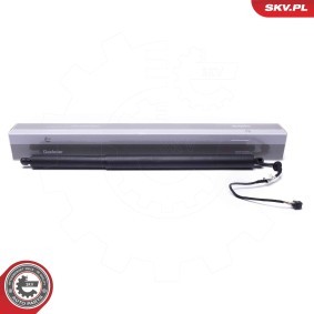 Acquista Motore elettrico, Cofano posteriore da ESEN SKV 52SKV967 a buon mercato per soli 198,37 €