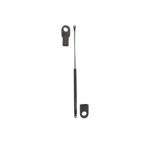 Heckklappendämpfer 21197 von FA KROSNO günstig für 15,23 € online kaufen
