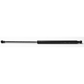 Heckklappendämpfer 21688 von FA KROSNO günstig für 18,43 € online kaufen