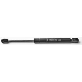 Heckklappendämpfer 23313 von FA KROSNO günstig für 17,66 € online kaufen
