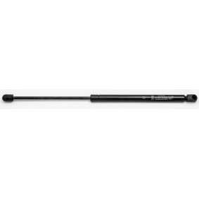 Heckklappendämpfer 23318 von FA KROSNO günstig für 14,46 € online kaufen