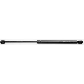 Heckklappendämpfer 23416 von FA KROSNO günstig für 17,87 € online kaufen