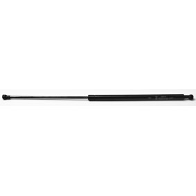 Heckklappendämpfer 23659 von FA KROSNO günstig für 22,80 € online kaufen