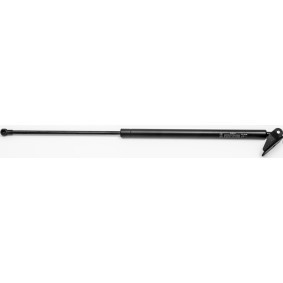 Heckklappendämpfer 24653 von FA KROSNO günstig für 30,73 € online kaufen