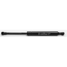 Heckklappendämpfer 31169 von FA KROSNO günstig für 15,92 € online kaufen