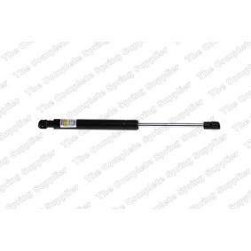 Compre Amortecedor de capô de LESJÖFORS online para 6 Cabrio (E64) a preços moderados