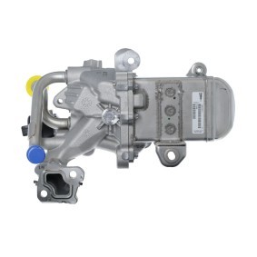 Compre Radiador EGR da VALEO 700489 a um preço baixo por 359,75 €