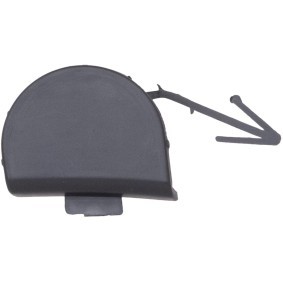 Klappe, Abschlepphaken 6837159 von DIEDERICHS günstig für 11,88 € online kaufen