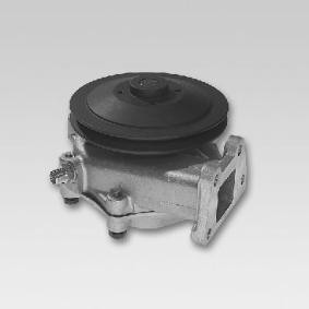 Wasserpumpe P117 von HEPU günstig für 115,96 € online kaufen