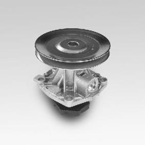 Wasserpumpe P120 von HEPU günstig für 45,38 € online kaufen
