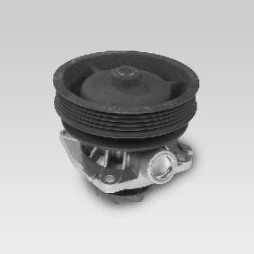 Wasserpumpe P122 von HEPU günstig für 57,06 € online kaufen