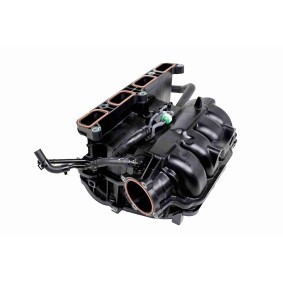 Acquista Collettore di aspirazione da ACKOJA A52-0168 a buon mercato per soli 1206,28 €