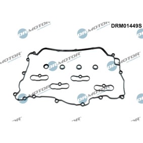 Achetez des Jeu de joints d'étanchéité, couvercle de culasse DR.MOTOR AUTOMOTIVE DRM01449S à prix pour 111,84 €