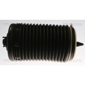 Acquista Ammortizzatore pneumatico da TRISCAN 8720 29204 a buon mercato per soli 324,95 €