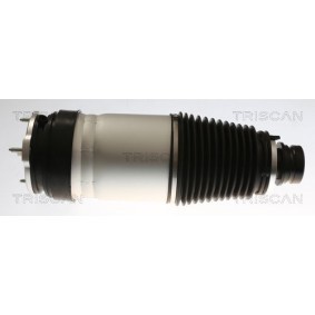 Luftfeder, Fahrwerk 8720 81101 TESLA von TRISCAN