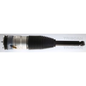 Comprar Muelle neumático, suspensión de TRISCAN 8720 81201 a bajo precio de 539,78 €