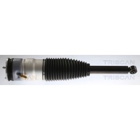 Luftfeder, Fahrwerk 8720 81202 TESLA von TRISCAN