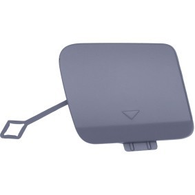 Klappe, Abschlepphaken 1282061 von DIEDERICHS günstig für 20,83 € online kaufen