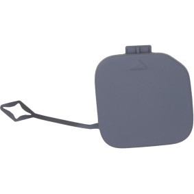 Klappe, Abschlepphaken 1282066 von DIEDERICHS günstig für 20,83 € online kaufen