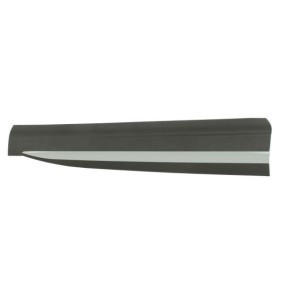 Zierleiste für die Tür 5703-04-7802572P von BLIC günstig für 30,04 € online kaufen