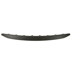 Achetez des Baguette et bande protectrice, grille de radiateur BLIC 6502-07-5529995P à prix pour 108,68 €