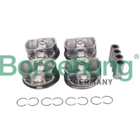 Kolbenringsatz B11145 von Borsehung günstig für 353,36 € online kaufen