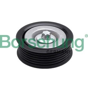 Umlenk- / Führungsrolle, Keilrippenriemen des Herstellers Borsehung - Originalware Artikelnummer: B12574