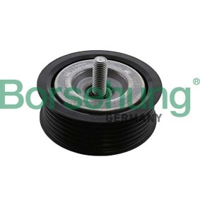 Umlenk- / Führungsrolle, Keilrippenriemen des Herstellers Borsehung - Originalware Artikelnummer: B12575