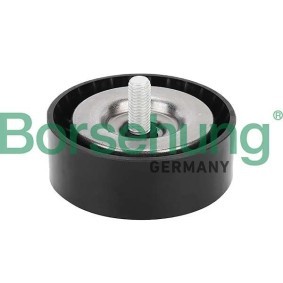 Umlenk- / Führungsrolle, Keilrippenriemen des Herstellers Borsehung - Originalware Artikelnummer: B12576