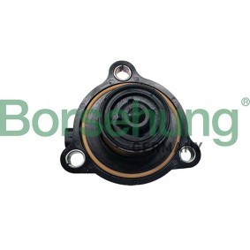 Schubumluftventil für Turbolader von Borsehung