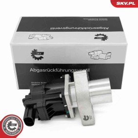 Comprar Válvula EGR de ESEN SKV 14SKV254 a bajo precio de 271,00 €