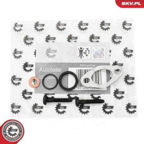 Dichtung Einspritzdüsen des Herstellers ESEN SKV - Originalware Artikelnummer: 53SKV188
